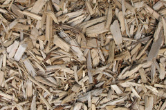 biomass boilers Sharples